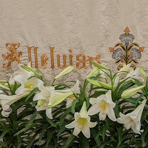 Sunday, April 9, 2023: The Rev. W. Frank Allen by Unknown