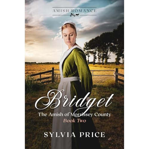 Bridget (The Amish of Morrissey County Book Two) by Sylvia Price