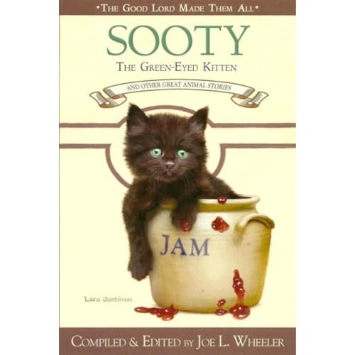 Sooty, the Green-Eyed Kitten