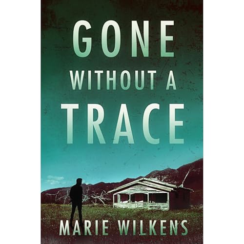 Gone without a Trace: A Small Town Riveting Kidnapping Mystery Thriller