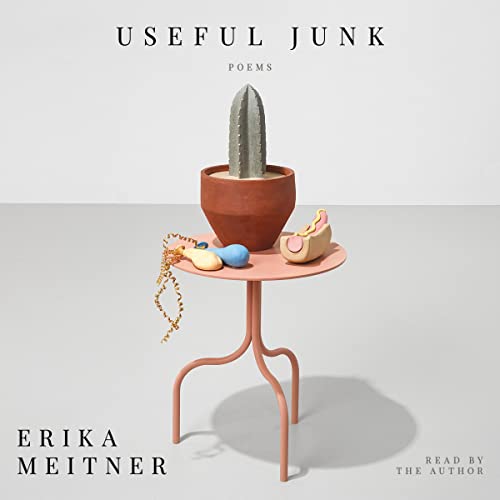 Useful Junk by Erika Meitner