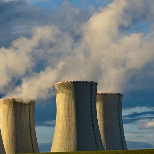 What Is the Role of Nuclear Power in a Net Zero System? by Unknown