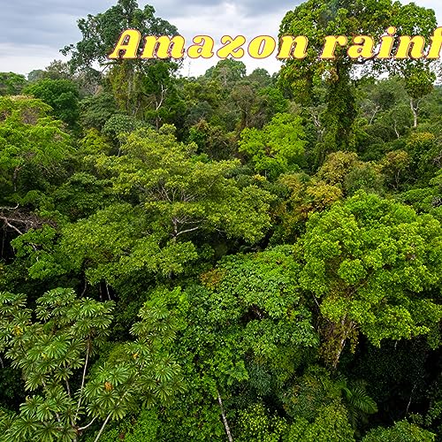 Safeguarding Our Wildlife: The Urgent Need to Protect Animals by Unknown