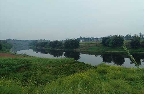 【灵界见闻】通灵者路遇落水鬼 The Psychic Meets the Drowning Ghost by Unknown