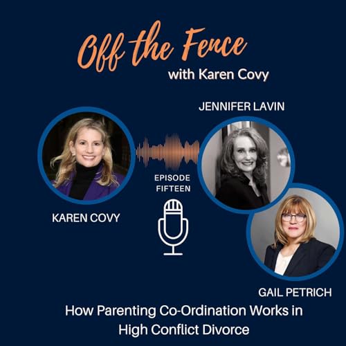 How Parenting Co-Ordination Works in High Conflict Divorce by Unknown