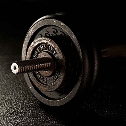 Gym Motivation by Wailan Brea