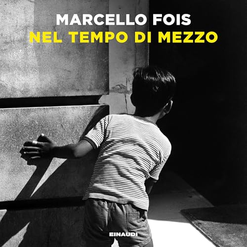 Nel tempo di mezzo by Marcello Fois