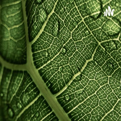 066.吃方便粉丝的两种方法@饼干GAN【一千零一笑】 by Unknown