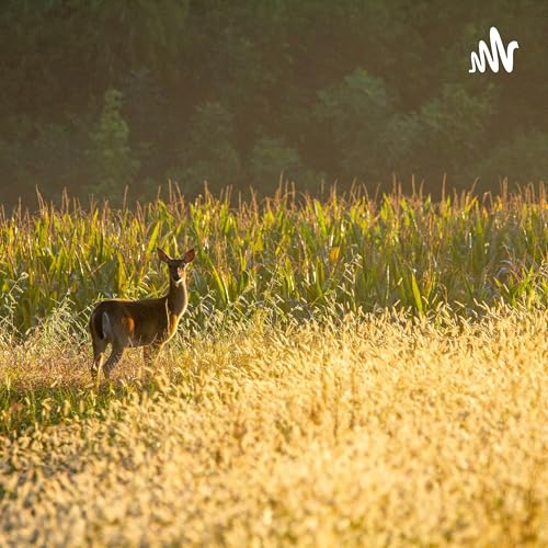 204.萧敬腾快回来吧，成都热化了@饼干GAN【一千零一笑】 by Unknown