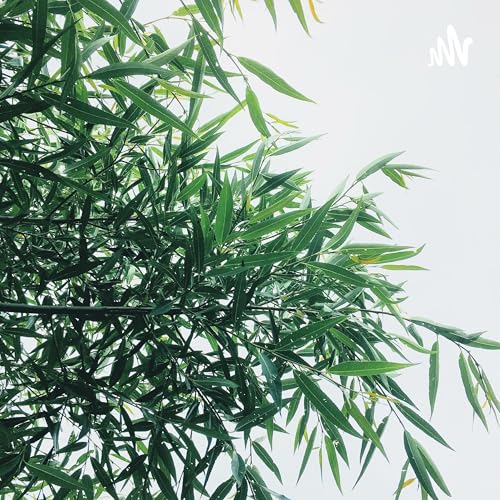 1627.瞧不起野狼Disco的人，听完第三遍都“真香”了 by Unknown