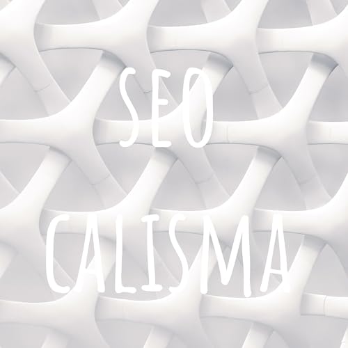 seo calisma