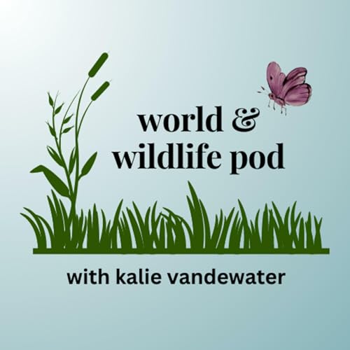 world & wildlife pod by world & wildlife pod