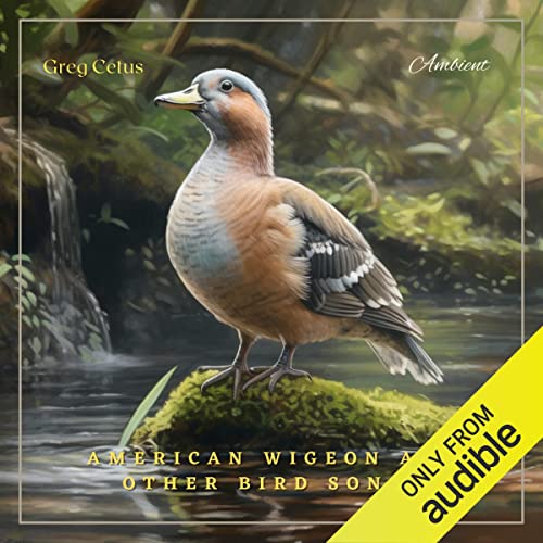 American Wigeon and Other Bird Songs by Greg Cetus