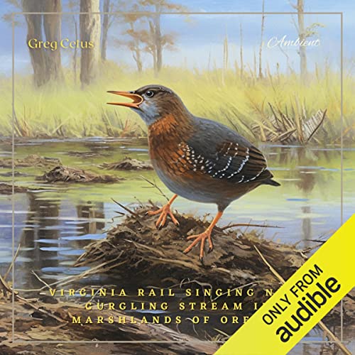 Virginia Rail Singing Near Gurgling Stream in Marshlands of Oregon by Greg Cetus