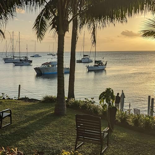 Solo Sailing with Trev White by Trev