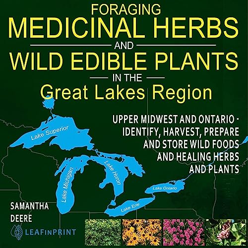 Foraging Medicinal Herbs and Wild Edible Plants in the Great Lakes Region