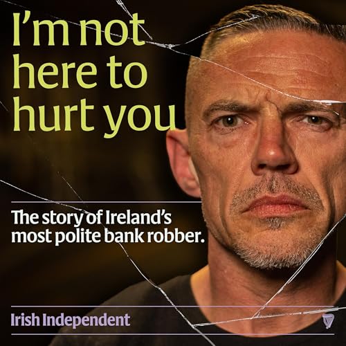 I'm Not Here To Hurt You by Irish Independent