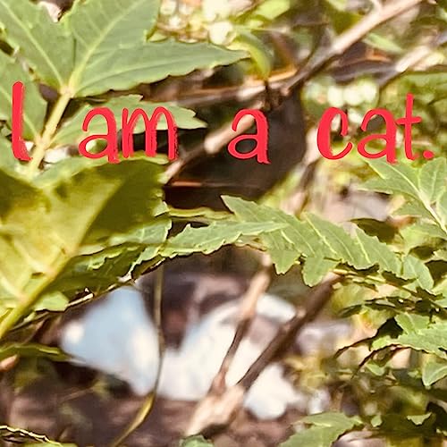 I am a cat - Soseki Natsume by Soseki Natsume translated by Hiro Kagawa