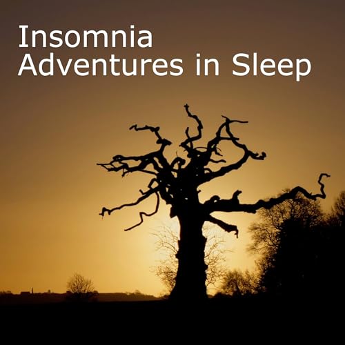 Insomnia Adventure in Sleep by jonseal