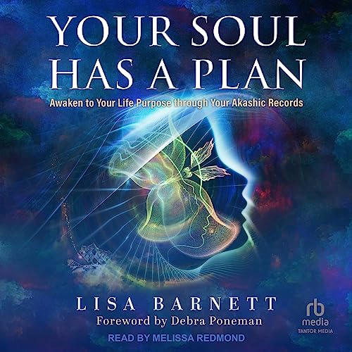 Your Soul Has a Plan by Lisa Barnett