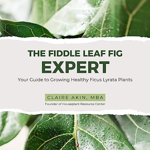 The Fiddle Leaf Fig Expert by Claire Akin MBA