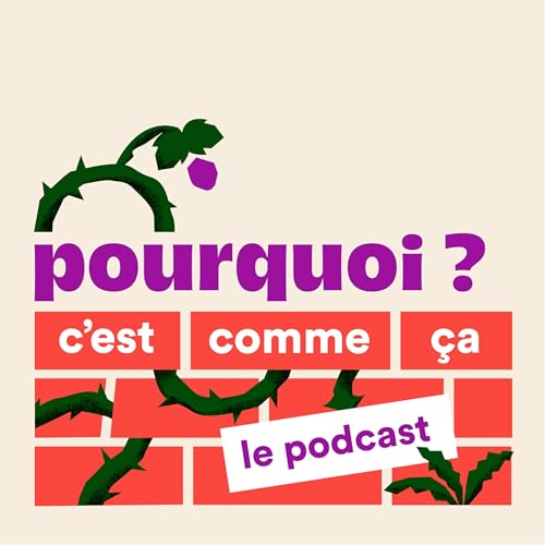 Pourquoi c'est comme ça ?