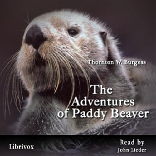 The Adventures of Paddy Beaver, by Thornton W. Burgess