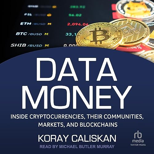 Data Money by Koray Caliskan