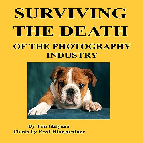 Surviving the Death of the Photography Industry