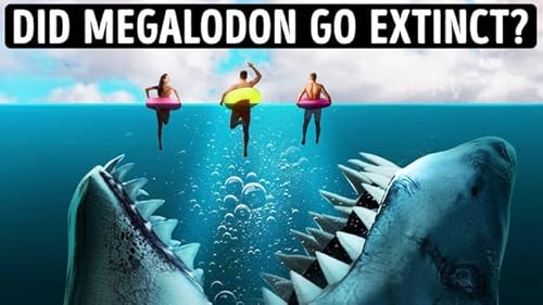 15 Megalodon Facts to Think Twice About Swimming in Ocean by Unknown