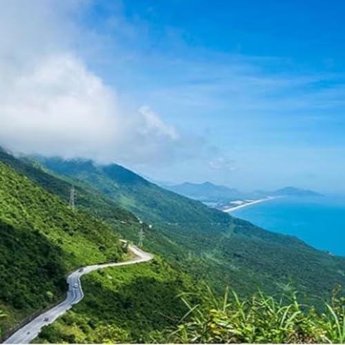 Quảng Nam-Đà Nẵng gần 200 năm trước qua hồi ký của một văn nhân Trung Quốc by Unknown