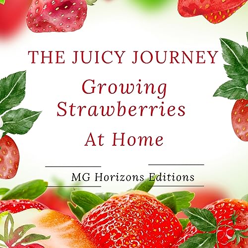 The Juicy Journey