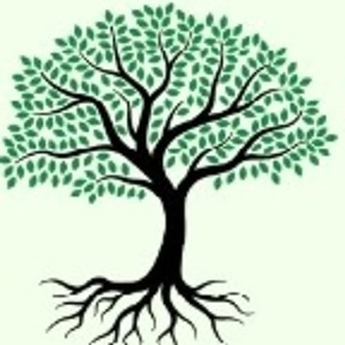 Living Kabbalah by David Yungman