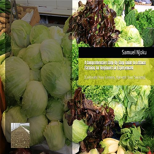 A Comprehensive Step-by-Step Guide to Lettuce Farming for Beginners or Experienced