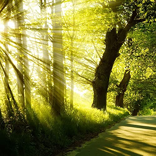 Nature calm music, sounds. Relaxation, background music by Music