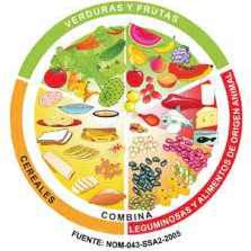 Alimentación y plato de buen comer by victor reyes