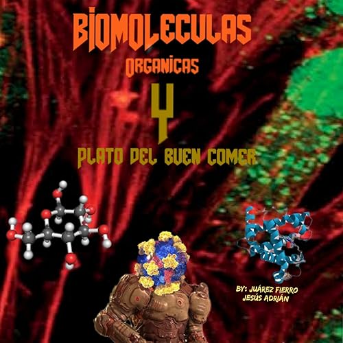 Biomoléculas y el plato del buen comer by Unknown