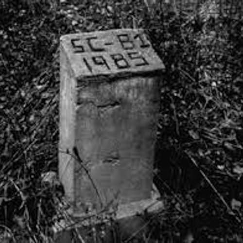 Special Child + Disco Queen of 66th by Unknown