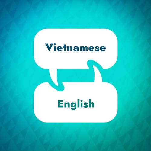 Vietnamese Learning Accelerator by Language Learning Accelerator