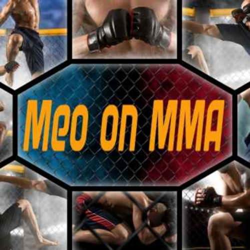 Meo on MMA by Unknown