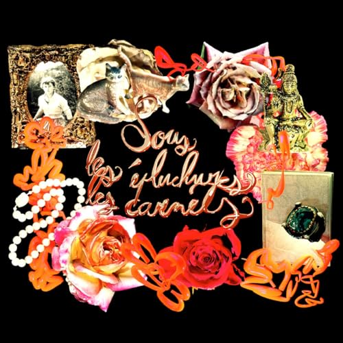 Sous les épluchures, les carnets by Atelier Java