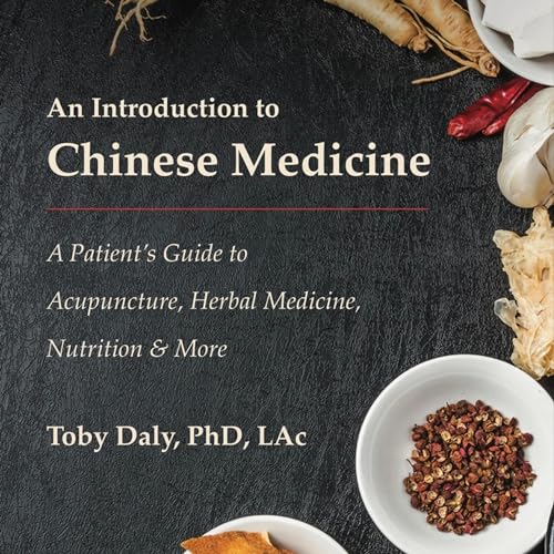 An Introduction to Chinese Medicine by Toby Daly