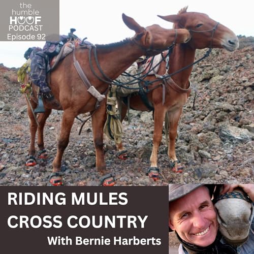 Riding Mules Cross Country - The Humble Hoof by Unknown