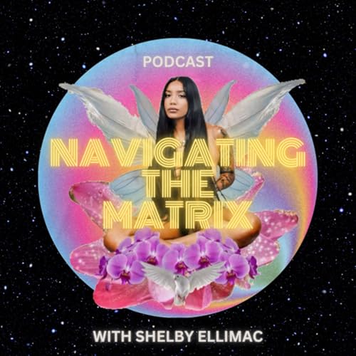 Navigating The Matrix by Shelby Ellimac