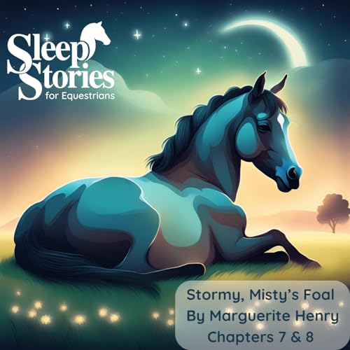 Pt. 4: Stormy, Misty's Foal by Marguerite Henry - Sleep Stories for Equestrians