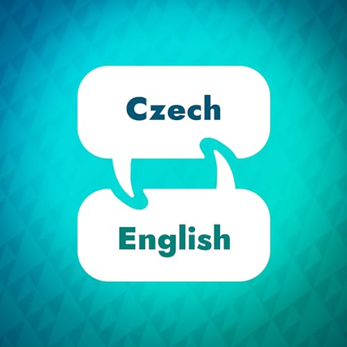 Czech Learning Accelerator by Language Learning Accelerator