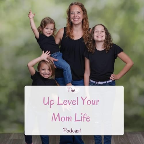 Up Level your Mom Life by Shandi Hanna