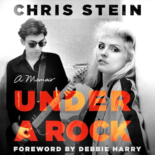 Under a Rock by Chris Stein