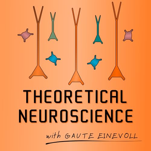 Theoretical Neuroscience Podcast by Gaute Einevoll