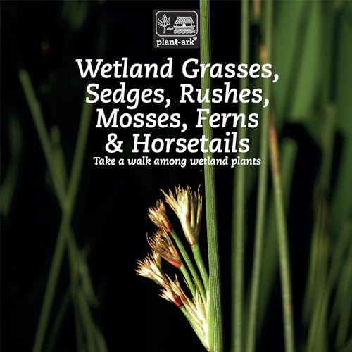 Wetland Grasses, Sedges, Rushes, Mosses, Ferns & Horsetails